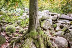 K1024_AC5I3649_50_51_Standard