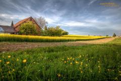 K1024_NS2A2627_8_9_tonemapped