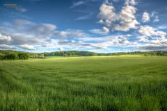 K1024_NS2A2904_5_6_tonemapped