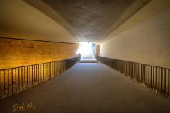 K1024_0D6A6481_2_3_Standard