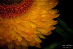K1024_IMG_2270