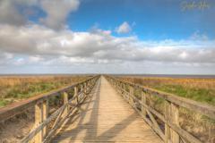 K1024_0D6A8671_2_3_Standard-Bearbeitet