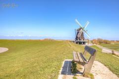 K1024_0D6A9231_2_3_Standard