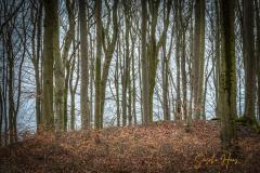 K1024_0D6A3775_6_7_Standard