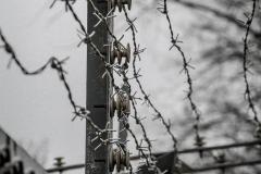 K1024_IMG_2058