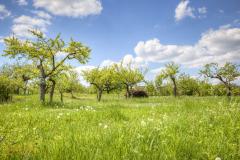 K1024_AC5I0600_1_2_Standard