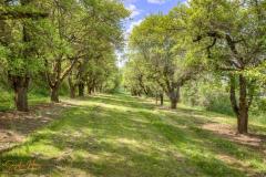 K1024_AC5I0618_19_20_Standard