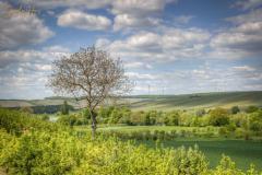 K1024_AC5I0627_8_9_Standard