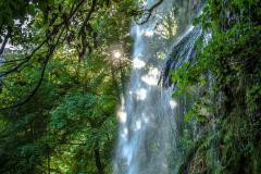 K1024_IMG_4315