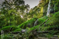 K1024_IMG_4347