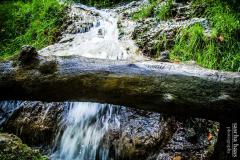 K1024_IMG_4382