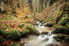 K1024_IMG_6848-Bearbeitet