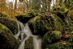 K1024_IMG_6907