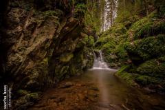 K1024_IMG_9616