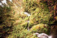 K1024_IMG_9679