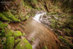 K1024_IMG_9688