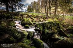 K1024_IMG_9807-2